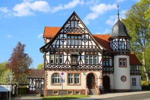 Duryňský les